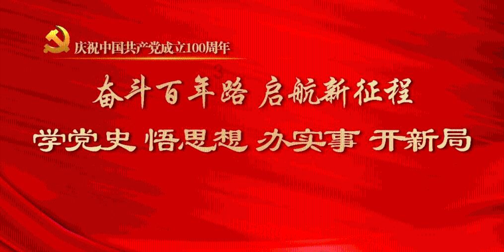 萌犬记忆卡