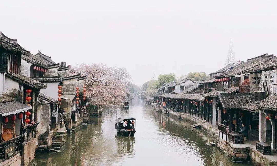 忍者鲨鱼