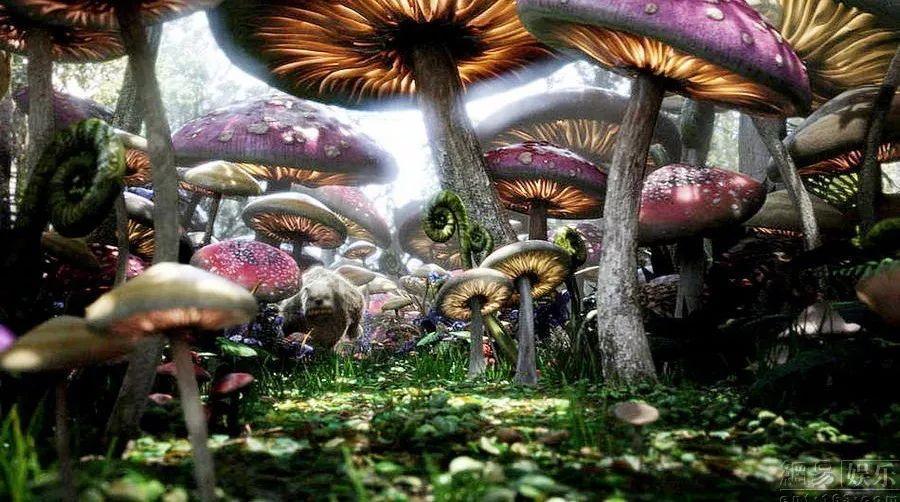 小猫钓鱼开船版最新版下载